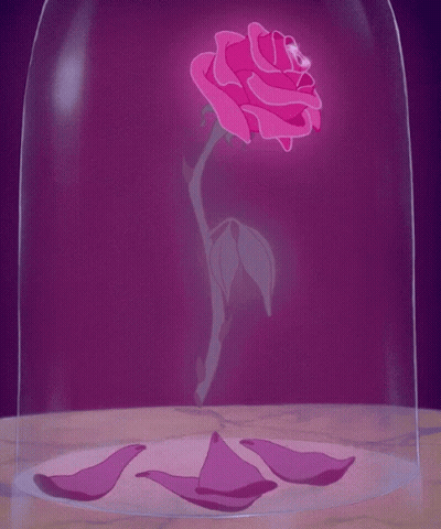 A Pink Rose In A Glass Dome With Petals Around It GIF