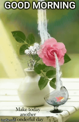 A Pink Rose In A Vase With Water Coming Out Of It And The Words Good Morning Make Today Another Wonderful Day GIF
