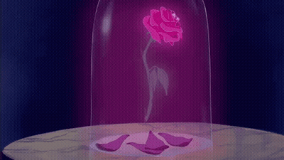 A Pink Rose Is In A Glass Dome With Petals On A Table . GIF