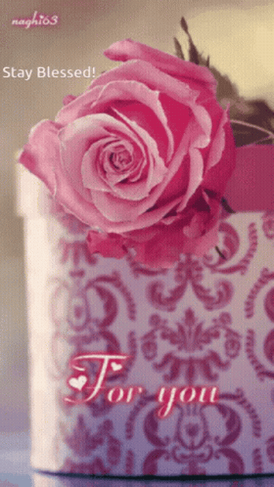A Pink Rose Sits In A Box With The Words Stay Blessed For You GIF