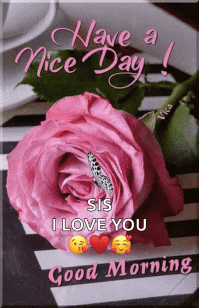 A Pink Rose With A Butterfly And The Words Have A Nice Day Sis I Love You GIF