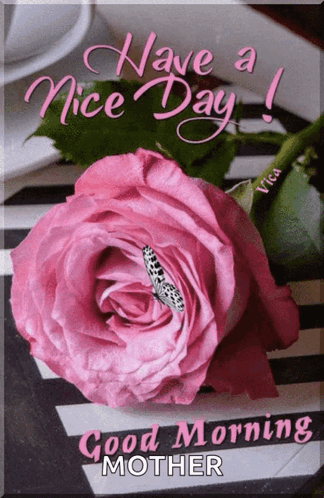 A Pink Rose With A Butterfly On It And The Words Have A Nice Day GIF
