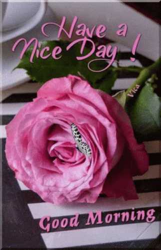 A Pink Rose With A Butterfly On It And The Words Have A Nice Day GIF