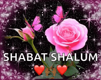A Pink Rose With Butterflies And Hearts On A Black Background GIF