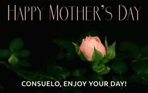 A Pink Rose With The Words " Happy Mother 'S Day Consuelo Enjoy Your Day " Below It GIF