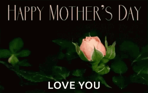 A Pink Rose With The Words `` Happy Mother 'S Day Love You '' Written On It GIF