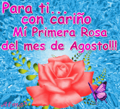 A Pink Rose With The Words Para Ti Con Cariño Mi Primera Rosa Del Mes De Agosto GIF