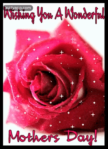 A Pink Rose With The Words Wishing You A Wonderful Mother 'S Day GIF