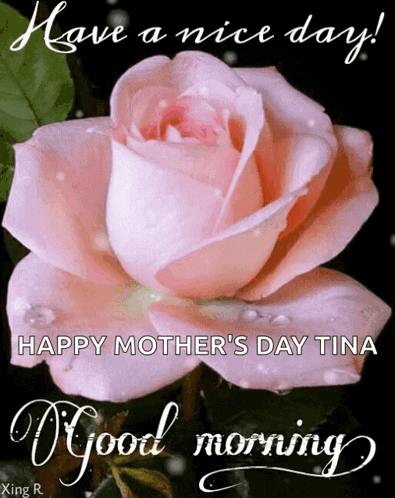 A Pink Rose With Water Drops And The Words Have A Nice Day Happy Mother 'S Day Tina GIF