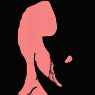 A Pink Silhouette Of A Person 'S Leg Is Against A Black Background . GIF