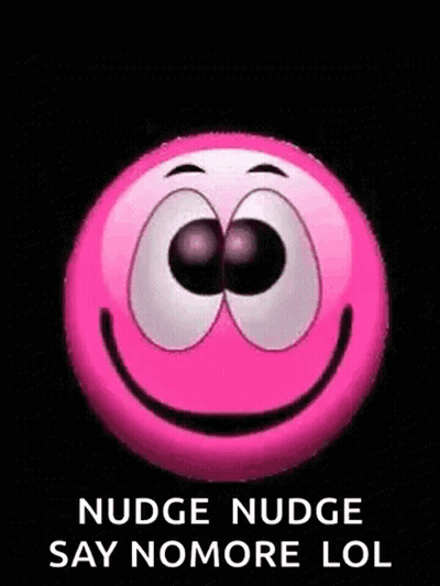 A Pink Smiley Face With Big Eyes And The Words `` Nudge Nudge Say Nomore Lol '' Written Below It . GIF
