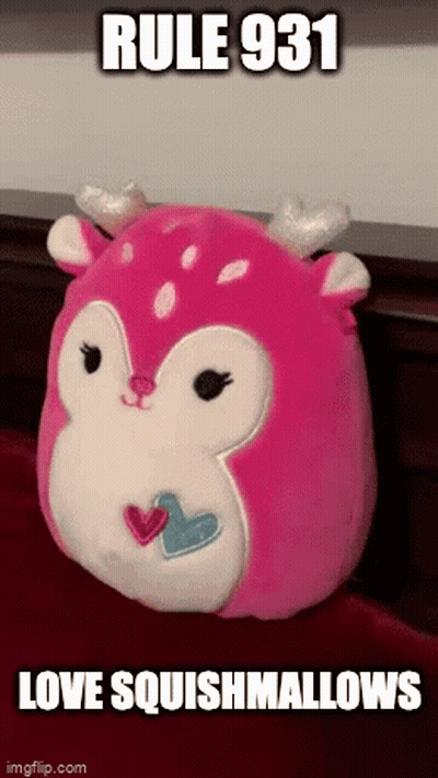 A Pink Stuffed Animal With The Words Rule 931 Love Squishmallows GIF