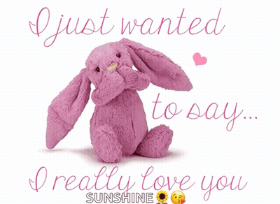 A Pink Stuffed Bunny With The Words " I Just Wanted To Say I Really Love You " Below It GIF
