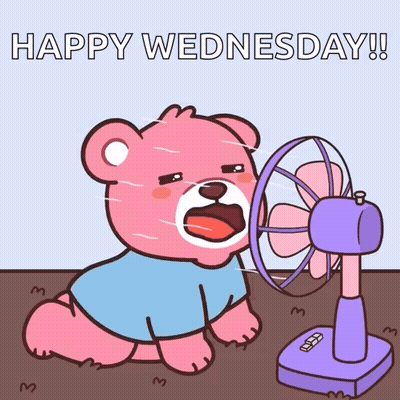 A Pink Teddy Bear Is Sitting In Front Of A Fan With The Words Happy Wednesday Written On The Bottom GIF