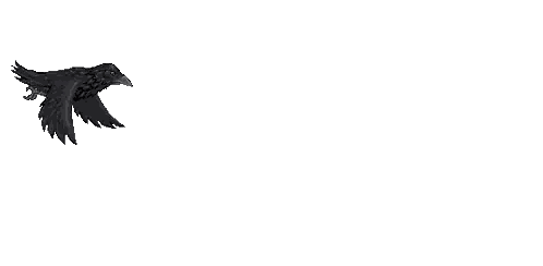 A Pixel Art Drawing Of A Black Bird With Its Wings Spread . Sticker