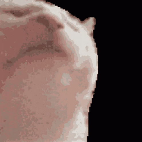 A Pixel Art Drawing Of A Cat 'S Face With A Black Background GIF