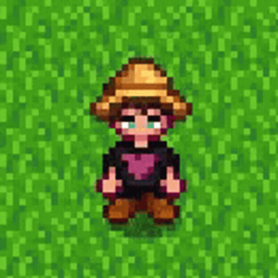 A Pixel Art Of A Boy Wearing A Cowboy Hat And Boots Standing In A Field . GIF