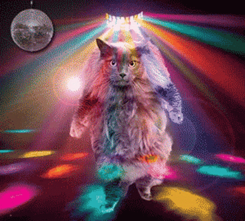 A Pixel Art Of A Cat Dancing In A Disco GIF