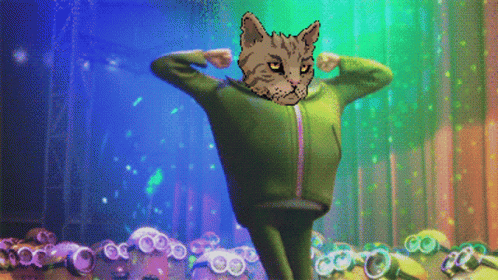 A Pixel Art Of A Cat In A Green Jacket Dancing GIF