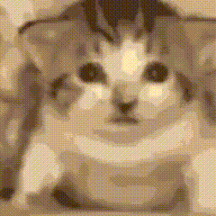 A Pixel Art Of A Cat Looking At The Camera With A Blurred Background . GIF