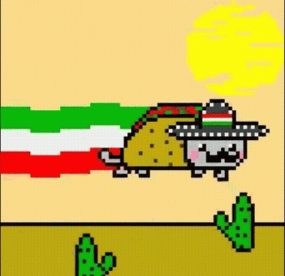 A Pixel Art Of A Cat Wearing A Sombrero And A Taco Flying Through The Air . GIF