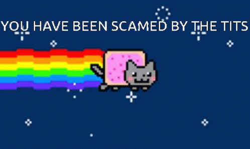 A Pixel Art Of A Cat With A Rainbow Coming Out Of Its Mouth And The Words " You Have Been Scamed By The Tits " GIF