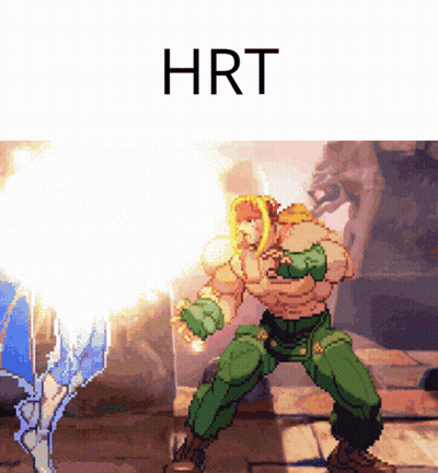A Pixel Art Of A Fighter With The Word Hrt On The Bottom GIF
