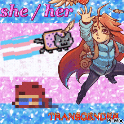 a pixel art of a girl and a cat with the words she her transgender