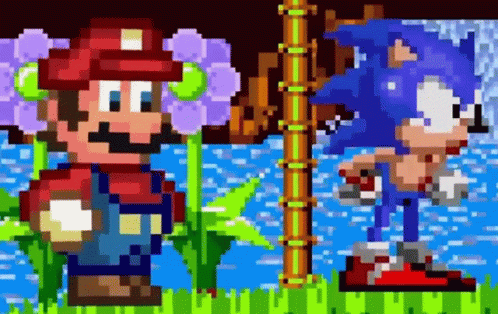 A Pixel Art Of Mario And Sonic In A Video Game . GIF