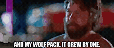A Pixelated Image Of A Man Saying And My Wolf Pack It Grew By One . GIF