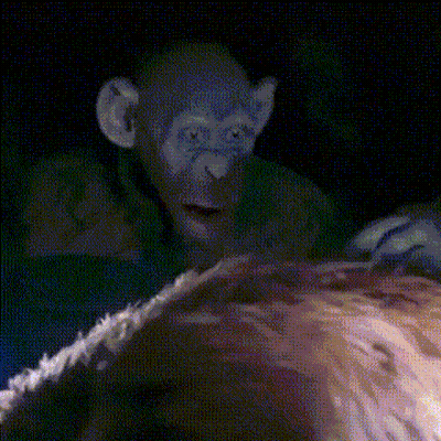 A Pixelated Image Of A Monkey Looking At A Woman 'S Face GIF