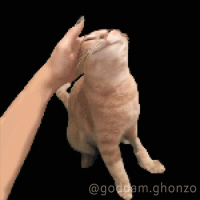 A Pixelated Image Of A Person Petting A Cat With The Hashtag Goddam.ghonzo GIF