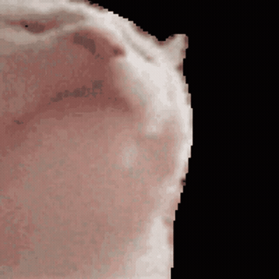 A Pixelated Image Of A Person 'S Face Against A Black Background GIF