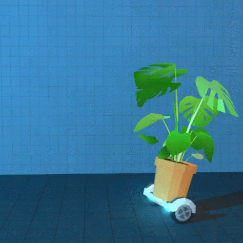 A Plant In A Pot Is On A Scooter GIF