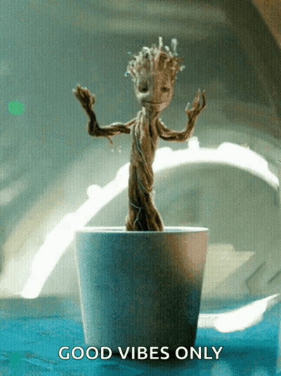 A Plant In A Pot With The Words Good Vibes Only On The Bottom GIF
