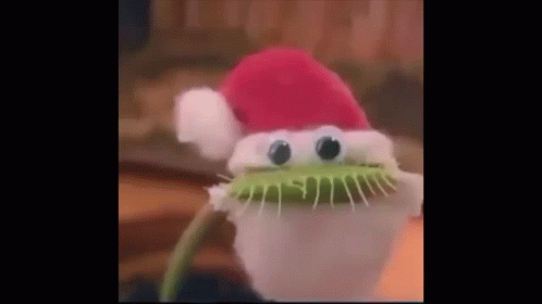 A Plant With Googly Eyes And A Santa Hat On It . GIF