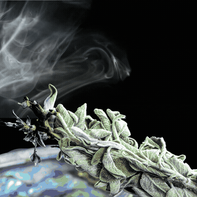 A Plant With Smoke Coming Out Of It And A Black Background GIF