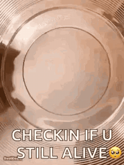 A Plastic Plate With The Words `` Check In If U Still Alive '' Written On It . GIF