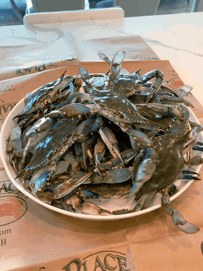 A Plate Of Blue Crabs Sits On A Placemat That Says Place GIF