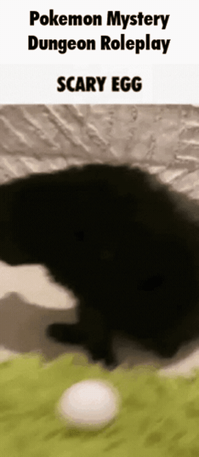 A Pokemon Mystery Dungeon Roleplay Scary Egg Is Being Played By A Black Cat . GIF