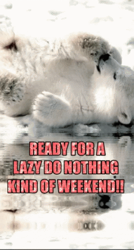 A Polar Bear Cub Is Laying In The Water With The Words " Ready For A Lazy Do Nothing Kind Of Weekend " GIF