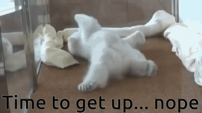 A Polar Bear Cub Is Laying On The Floor With The Words Time To Get Up Nope Written Below It GIF