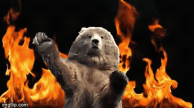 A Polar Bear Is Standing In Front Of A Fire With A Black Background GIF