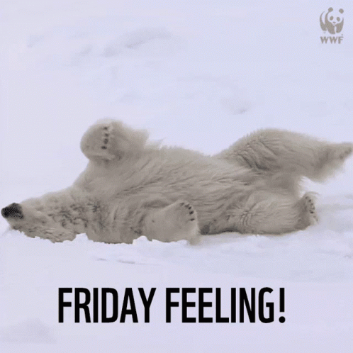 A Polar Bear Laying On Its Back In The Snow With The Words Friday Feeling Written Below It GIF
