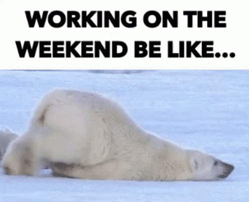 A Polar Bear Laying On Its Back In The Snow With The Words Working On The Weekend Be Like GIF
