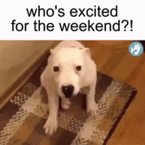 A Polar Bear Sitting On A Rug With The Words Who 'S Excited For The Weekend ? GIF
