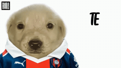 A Polar Bear Wearing A Blue And Red Shirt With The Word Te On It GIF