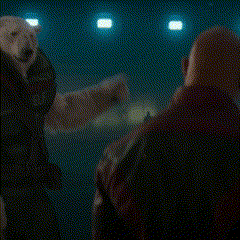 A Polar Bear With The Words This Clown Is A Level Four On It GIF