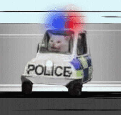 A Police Car With A Cat In The Back GIF