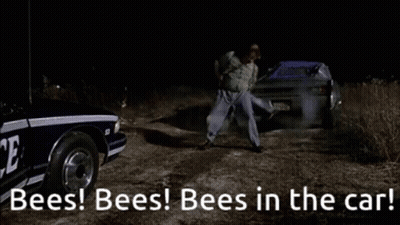 A Police Car With The Words Bees Bees Bees In The Car On It GIF